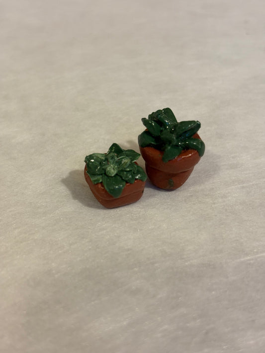 Mini Potted Plants