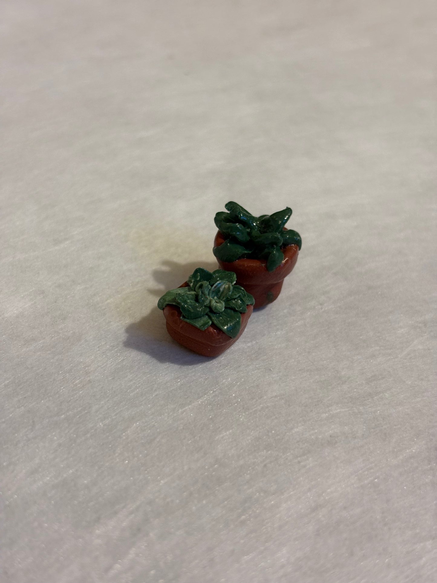 Mini Potted Plants