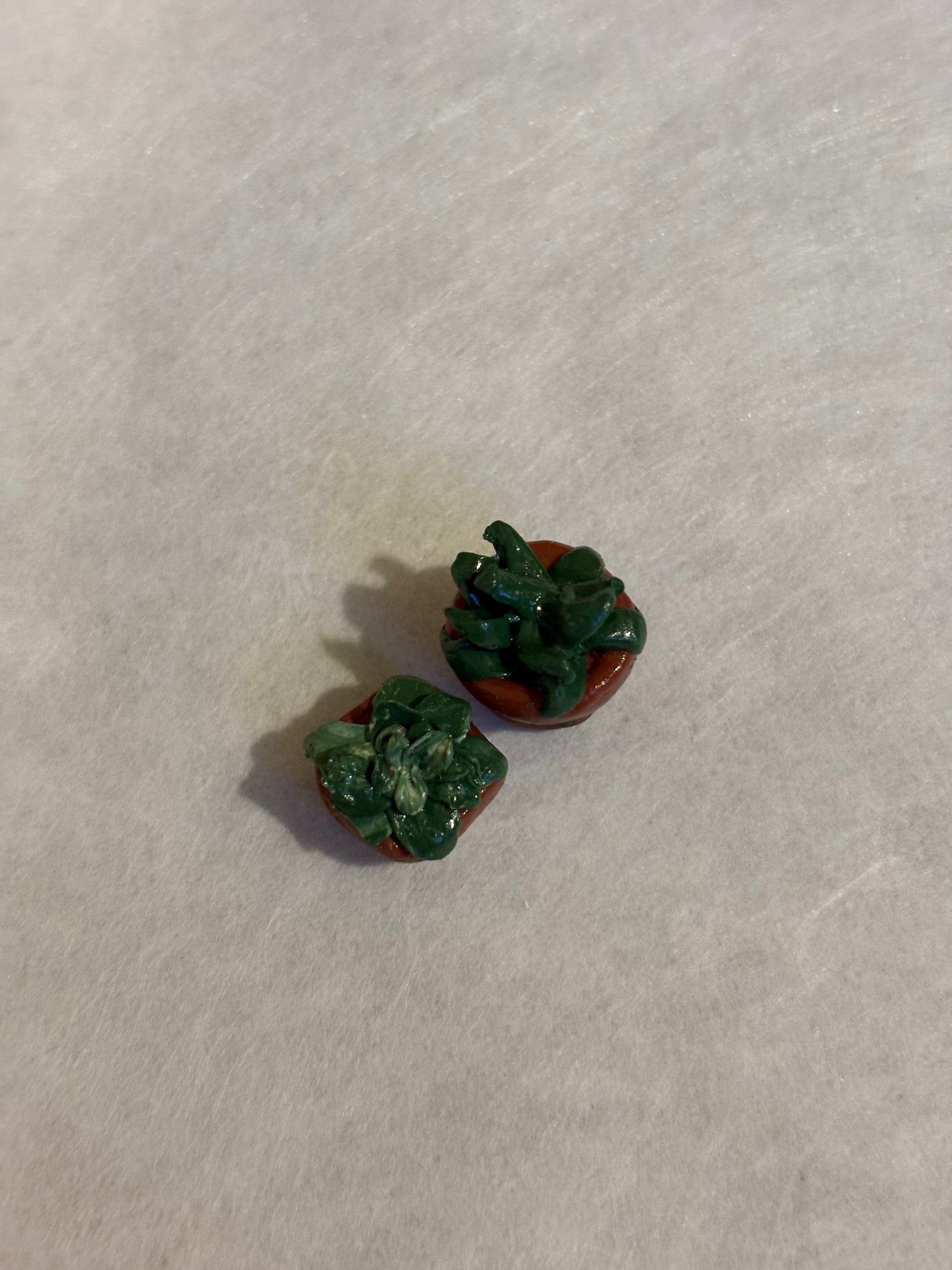 Mini Potted Plants