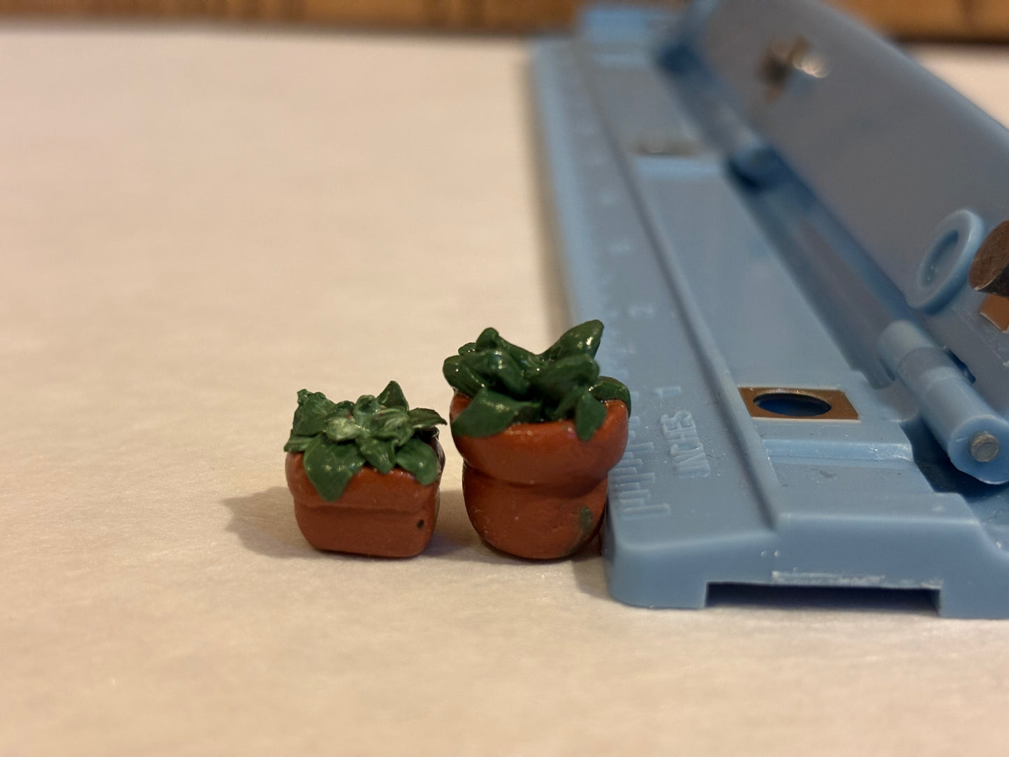 Mini Potted Plants